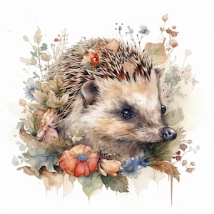 Adesivo Riccio Felice Adesivo Animale Acquerello Cartone Animato Stampa Digitale