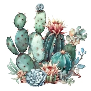 Adesivo in vinile personalizzabile per esterni con cactus ad acquerello