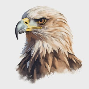 Adler Sticker – Realistischer Greifvogel Aufkleber mit starkem Blick als majestätisches Tierportrait für Naturfans und Deko Ideen
