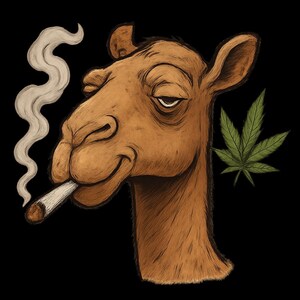 Adesivo per esterni Camel Enjoys Leisure Time, adesivo in vinile resistente ai raggi UV, realizzato con pellicola di alta qualità di Orafol, adesivo per auto, adesivo per laptop