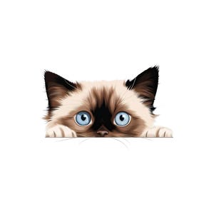 Op de afbeelding: Een digitale illustratie van een Ragdoll-kat met helderblauwe ogen en een bruin en zwart gezicht. De poten van de kat zijn zichtbaar, terwijl hij over een wit oppervlak kijkt. De vacht van de kat is gedetailleerd, waardoor een realistische uitstraling ontstaat.