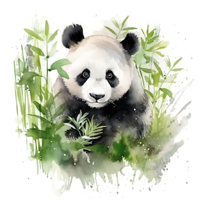 Adesivo per auto, orso panda acquerello, adesivo in vinile resistente alle intemperie per esterni, personalizzabile