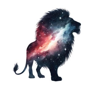 Car sticker Galaxy animal sticker space animal motif sticker fantasy design wall sticker window decoration universe decoration vinyl sticker