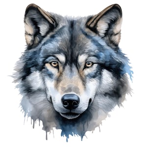 Puede incluir: Ilustración en acuarela de la cabeza de un lobo. La obra presenta una representación detallada de la cara del lobo, con un enfoque en sus ojos, nariz y pelaje. La paleta de colores incluye tonos de gris, azul y marrón, con goteos de acuarela en la parte inferior.