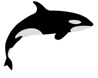 2X Orca whale stickers Personalizable outdoor UV-resistant vinyl sticker made of high-quality film from Orafol car stickers