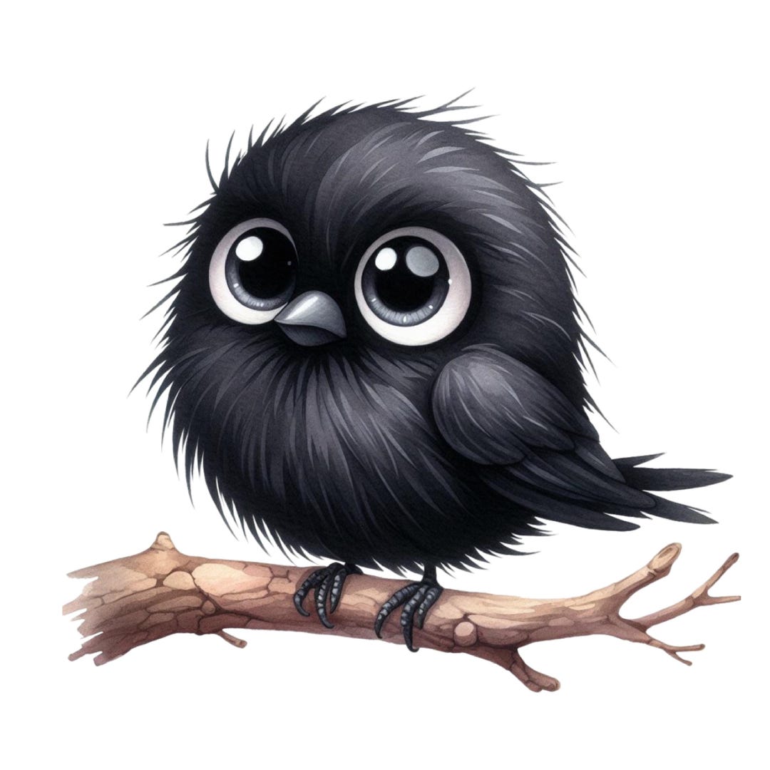 Raven Sticker Set 9 X 9 Cm Funny Black Bird Car Sticker Humorous Crow ...