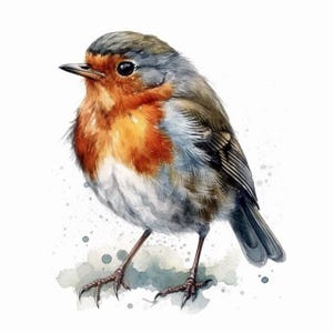 Robin sticker, Christmas bird sticker, winter bird motif, nature sticker, bird illustration, robin decoration, winter decoration
