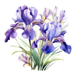 2X Sticker Iris Watercolor Flowers Sticker Personalizable Outdoor Vinyl
