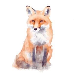 Adesivo acquerello volpe – adesivo dipinto a mano raffigurante un animale della foresta, ideale come decorazione naturale con illustrazione di volpe rossa, per amanti degli animali e appassionati di volpi.