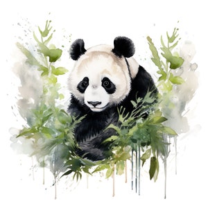 Adesivo in vinile per esterni personalizzabile con decalcomania dell'acquerello dell'orso panda