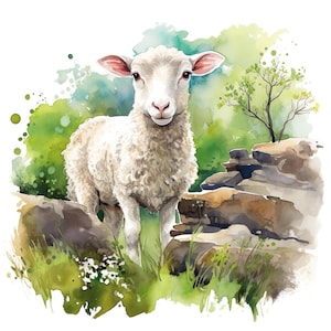 Pode incluir: Ilustração em aquarela de uma ovelha branca em pé sobre rochas, com um fundo verde e azul. A ovelha tem um casaco fofo e orelhas rosadas. Uma pequena árvore e folhagem verde também são visíveis.