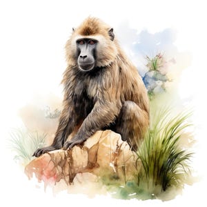 May include: A watercolour illustration of a baboon seated on a rock. The baboon has brown fur, a black face, and red eyes. The background features green grass and a light blue and green watercolour wash.
