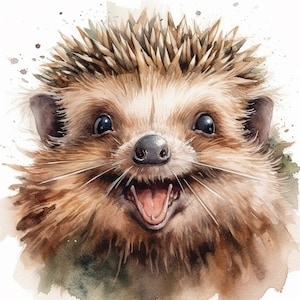 2X Adesivo Riccio Felice Adesivo Animale Acquerello Simpatico Cartone Animato Stampa Digitale