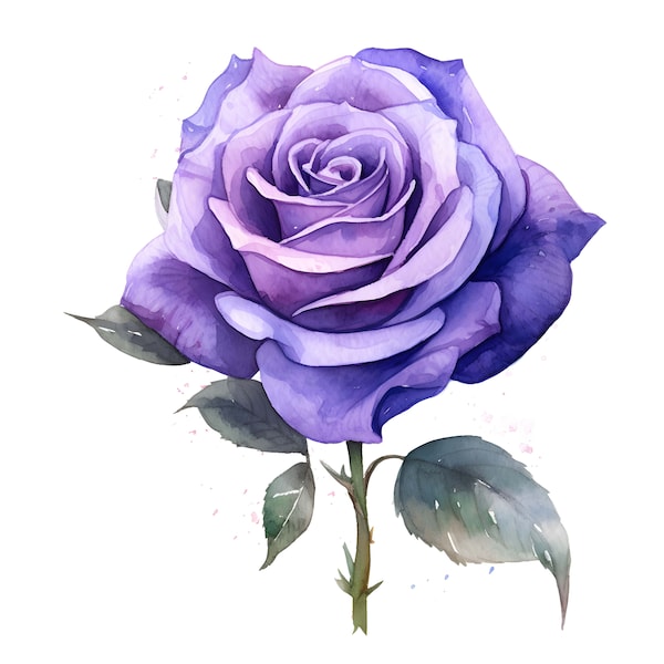 Car Sticker Watercolor Purple Roses Sticker Weatherproof Outdoor Vinyl