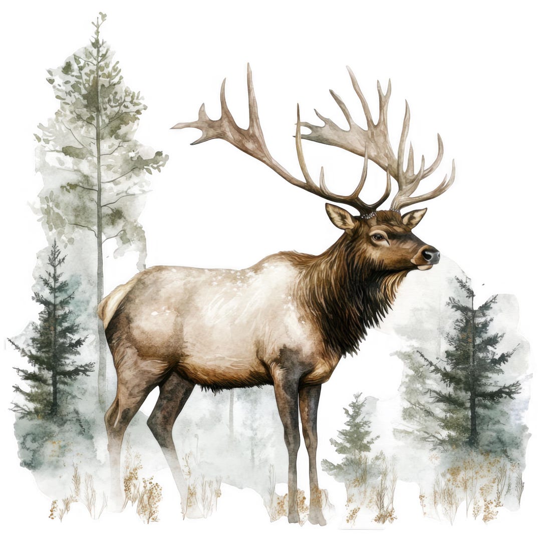Moose Sticker Set Watercolor Car Stickers Multipack Woodland Animal 9 X ...