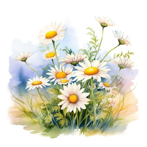 Adesivo margherita, adesivo acquerello con fiore, adesivo da parete, adesivo per auto, decorazione, regalo per gli amanti della natura, romantici e amanti dei fiori.