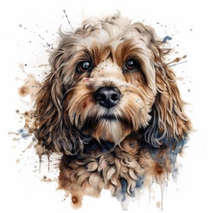 Könnte beinhalten: Aquarellporträt eines Cavapoo-Hundes mit braunem und cremefarbenem Fell, einer schwarzen Nase und ausdrucksstarken Augen. Das Bild zeigt braune und blaue Farbspritzer auf weißem Hintergrund, was einen verspielten Effekt erzeugt.
