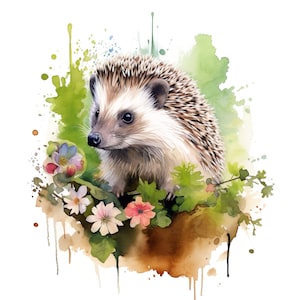 Pegatina de erizo feliz, pegatina de animal de acuarela, linda impresión digital de dibujos animados