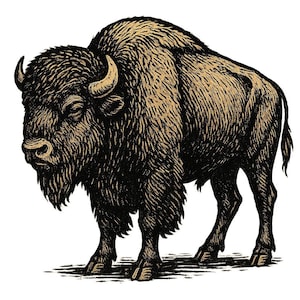 Könnte beinhalten: Detaillierte Illustration eines Bisons im Vintage-Stil. Der Bison ist in Schwarz- und Beigetönen dargestellt, wobei der Schwerpunkt auf seinem zotteligen Fell, seinen Hörnern und seiner kraftvollen Haltung liegt. Das Kunstwerk hat ein strukturiertes, graviertes Aussehen, das an einen klassischen Druck erinnert.