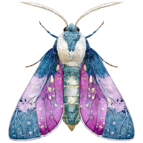 4x Moth Sticker Set, 4 Pieces, Watercolor Night Moth Car Stickers, Mystical Insect, Waterproof Vinyl Laptop Decoration, Nature Gift