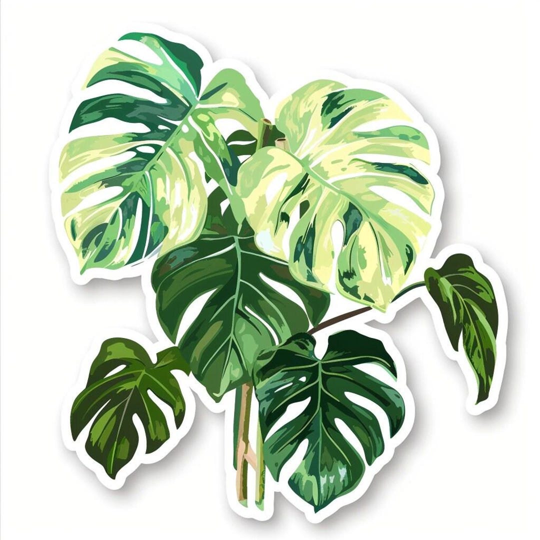 Monstera Sticker Personalizable Outdoor Vinyl Sticker - Etsy