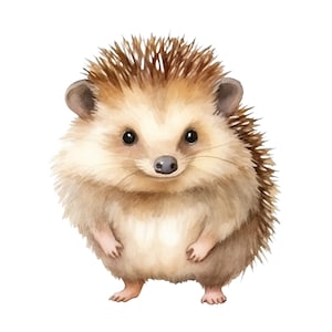 Adesivo Riccio Felice Adesivo Animale Acquerello Cartone Animato Stampa Digitale