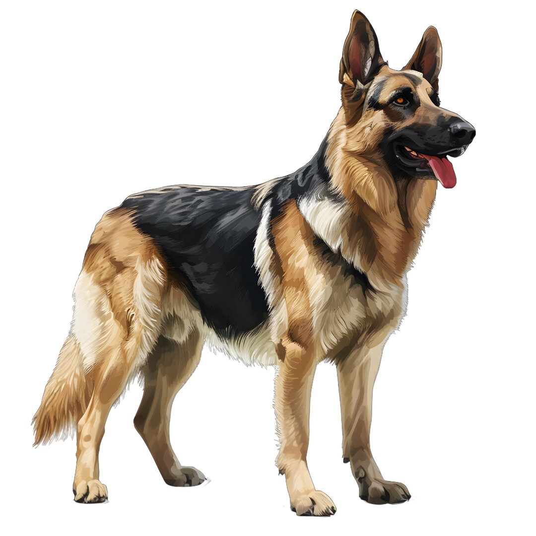 Gsd Sticker German Shepherd Sticker Set 9 X 9 Cm Realistic Car Stickers Guard Dog ...