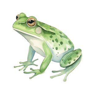 Watercolor Frog Car Sticker Funny Animal Sticker Weatherproof Vinyl Nature Motif Decoration Window Laptop Outdoor Gift Kids Adults DIY