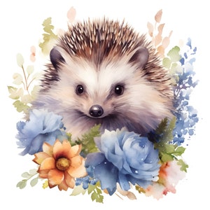 3X Adesivo Riccio Felice Adesivo Animale Acquerello Simpatico Cartone Animato Stampa Digitale