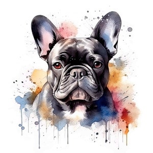 Adesivo Bulldog francese Adesivo