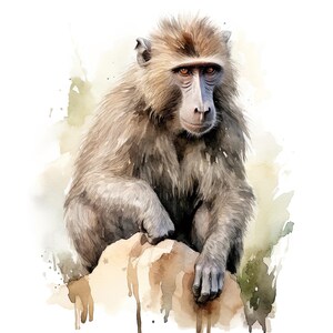 May include: A watercolour painting of a baboon, depicted sitting on a rock. The baboon has light brown fur, a grey face, and orange eyes. The background features soft green and brown watercolour washes.