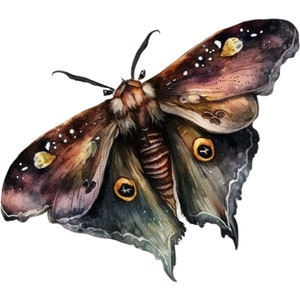 Wunderschöner Schmetterling Sticker Autoaufkleber Wandtattoo Natur Tier Aufkleber filigran bunt dekorativ Geschenkidee