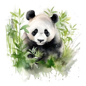 May include: Watercolor illustration of a panda bear with black and white fur, surrounded by green bamboo leaves. The panda has black markings around its eyes and ears. The artwork has a soft, artistic style with watercolor paint splatters.