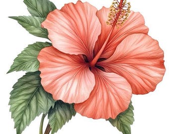 水彩画のハイビスカスの花のステッカー - 壁や車のステッカーとして