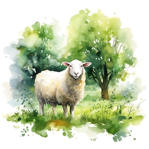 Może przedstawiać: Akwarelowa ilustracja owcy stojącej na trawiastym polu z drzewami w tle. Owca ma białą wełnę i różową twarz. Drzewa i trawa są w odcieniach zieleni.