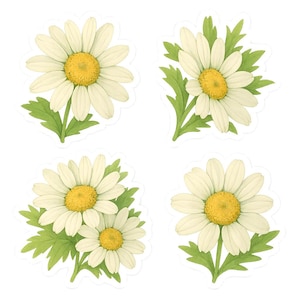 Set di adesivi con margherite, adesivi con fiori, margherite, decorazioni floreali, adesivi con piante, motivo naturale, decorazioni da giardino, adesivi primaverili