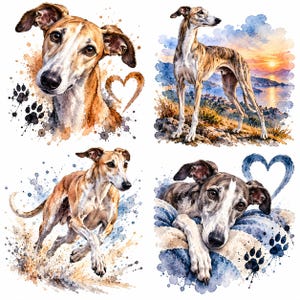 Set van 4 Greyhound-stickers, 4 stuks, autostickers in aquarel, Galgo, Greyhound, Whippet, cadeau voor hondenbezitters