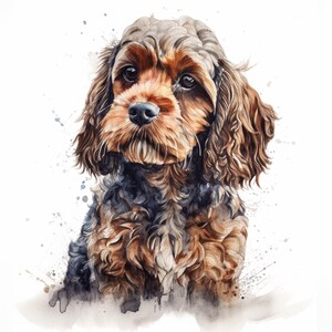 Op de afbeelding: Waterverfportret van een Cocker Spaniel-hond met bruine, zwarte en bruine vacht. De hond heeft een pluizige, krullende vacht en een zachte uitdrukking. De achtergrond is wit met subtiele aquarelspetters.