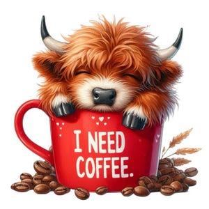 Highland Cow & Coffee Sticker – Cute Highland Cow as a wall sticker and car sticker