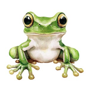 Può includere: Illustrazione ad acquerello di una rana verde con grandi occhi espressivi. La rana ha un ventre bianco e arti dettagliati, che mostrano uno stile artistico stravagante. La rana è raffigurata frontalmente su uno sfondo bianco.