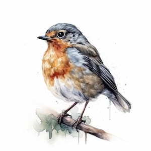 Robin sticker, Christmas bird sticker, winter bird motif, nature sticker, bird illustration, robin decoration, winter decoration