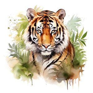 Könnte beinhalten: Aquarellmalerei eines Tigers mit orangefarbenen und schwarzen Streifen, der direkt auf den Betrachter blickt. Der Tiger ist von grünem Laub und Aquarellen in Braun- und Grüntönen umgeben.