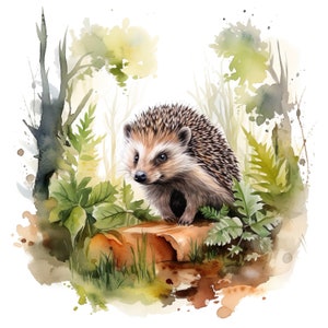 Adesivo Riccio Felice Adesivo Animale Acquerello Cartone Animato Stampa Digitale