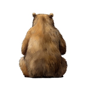 Könnte beinhalten: Ein brauner Bär, der mit dem Rücken zum Betrachter sitzt. Der Bär hat ein dickes Fell und ist vom Betrachter abgewandt.