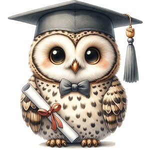 Búho con sombrero de doctorado y diploma, pegatina de dibujos animados, lindo, dulce, graduación, estudio, regalo, decoración, ilustración