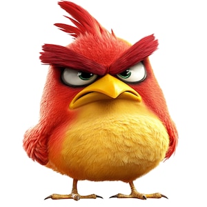 Könnte beinhalten: Cartoon-Bild eines roten Vogels mit wütendem Gesichtsausdruck. Der Vogel hat einen gelben Schnabel und Bauch, grüne Augen und einen roten Kamm. Der Vogel steht auf zwei kleinen Füßen vor weißem Hintergrund.