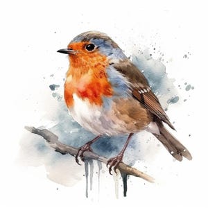 Robin sticker, Christmas bird sticker, winter bird motif, nature sticker, bird illustration, robin decoration, winter decoration