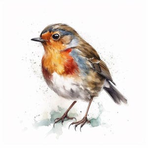 Robin sticker, Christmas bird sticker, winter bird motif, nature sticker, bird illustration, robin decoration, winter decoration