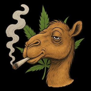 Adesivo per esterni Camel Enjoys Leisure Time, adesivo in vinile resistente ai raggi UV, realizzato con pellicola di alta qualità di Orafol, adesivo per auto, adesivo per laptop