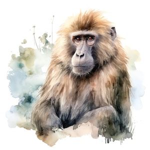 May include: A watercolour painting of a monkey with light brown fur and a serious expression. The monkey's face is detailed with red eyes and a grey muzzle. The background features soft watercolour washes of blue, green, and brown.